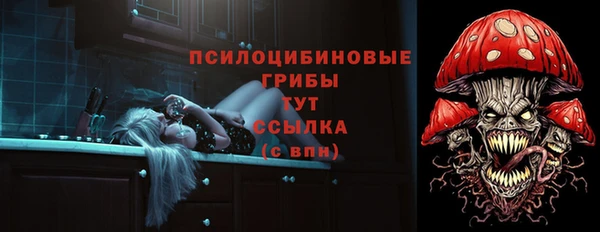 mix Няндома