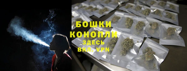 сатива Нягань