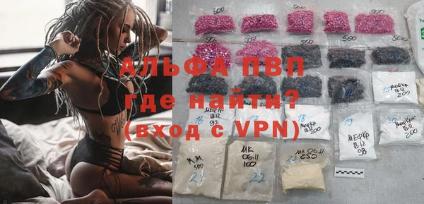сатива Нягань