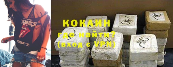 сатива Нягань
