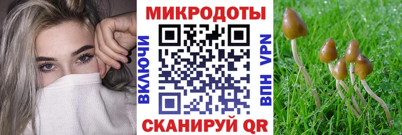 Галлюциногенные грибы Psilocybe купить наркотик Урус-Мартан