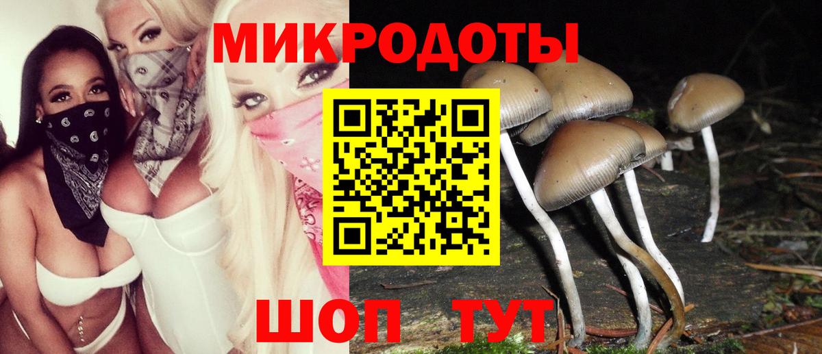 Галлюциногенные грибы GOLDEN TEACHER  Вход с VPN  Урус-Мартан 
