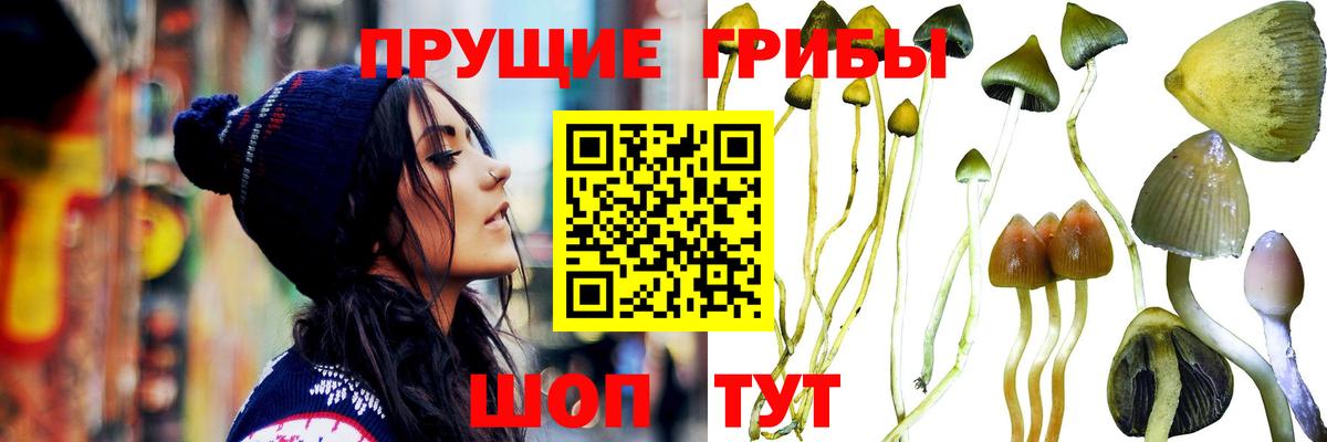 Псилоцибиновые грибы ЛСД Урус-Мартан